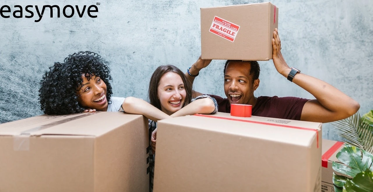 Looking for Relocation and Removal Services?
